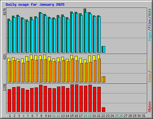 Daily usage for January 2025