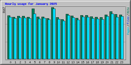 Hourly usage for January 2025