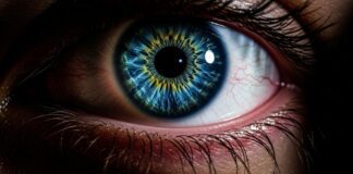 Ultimate Guide: Radiant Non-Prescription Colored Contacts Ultimate Guide: Radiant Non-Prescription Colored Contacts