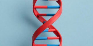 DNA-Based Skincare Revealed: Unveiling the Science and Benefits