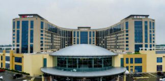 Ethical Shopping Guide: Discover the Best Brands Today