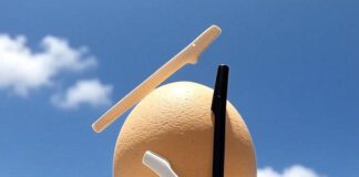 Nimbi Dermaplaning Tool: Must-Have Sells out in UK!