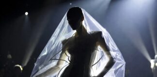 Sheer Over Structured 2026: The Paris Fashion Week Silhouette Sheer Over Structured 2026- The Paris Fashion Week Silhouette