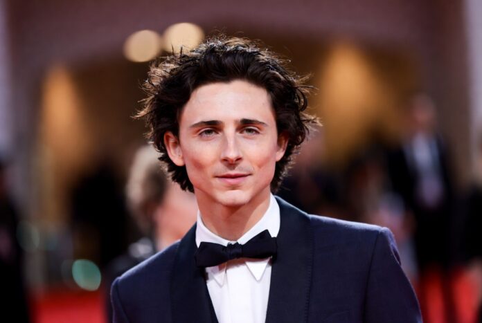 Timothée Chalamet and the Future of Hollywood Modern Hollywood leading man inspired by Timothée Chalamet's influence on film and fashion