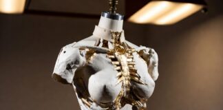 Three-dimensional gold torso couture piece on a dress form representing Schiaparelli anatomical fashion and the house's body-as-canvas design philosophy as explained by Runway Magazine
